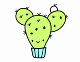 Cactus nopal