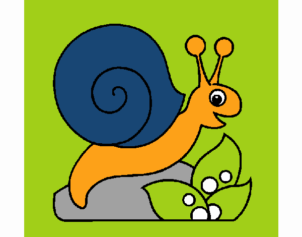 Caracol