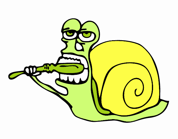 Caracol limpio