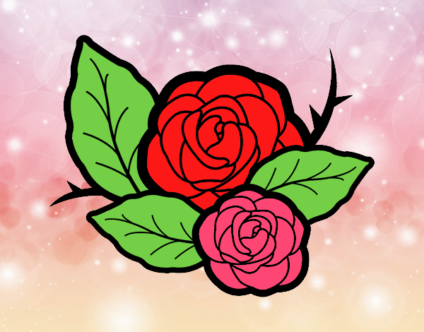 Dos rosas