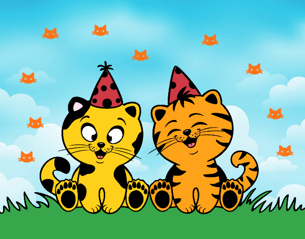 Gatos de cumpleaños