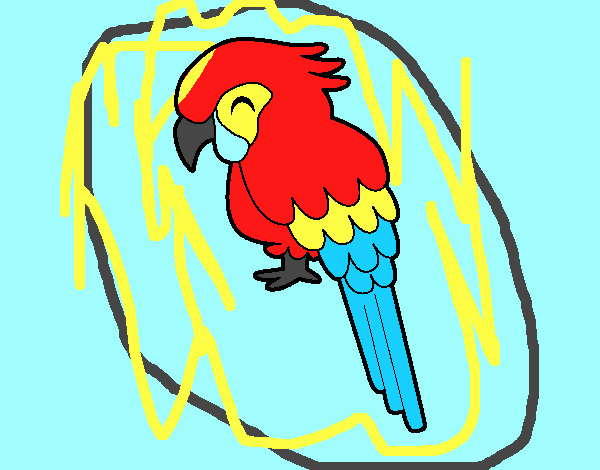 Guacamayo