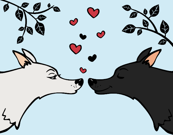 Lobos enamorados