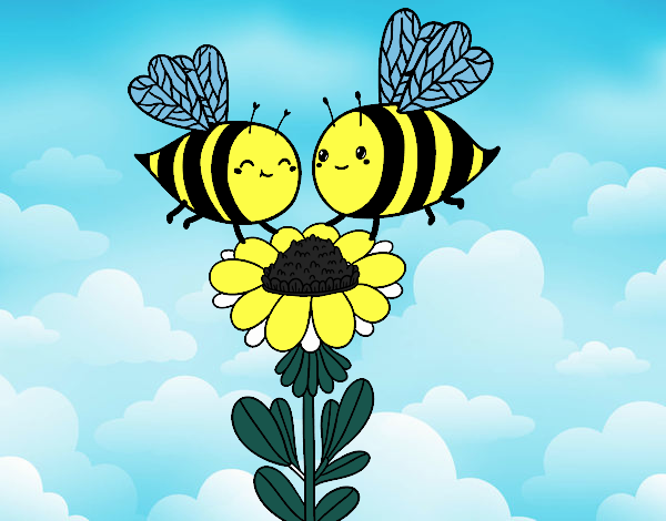 Pareja de abejas