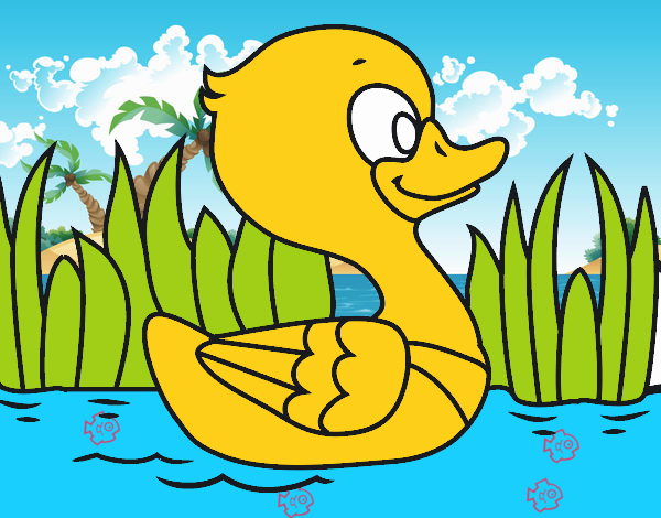 Patito de río