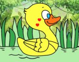 Patito de río