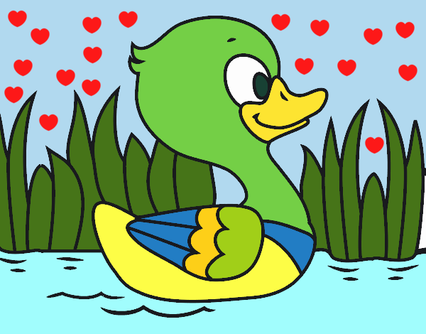 Patito de río