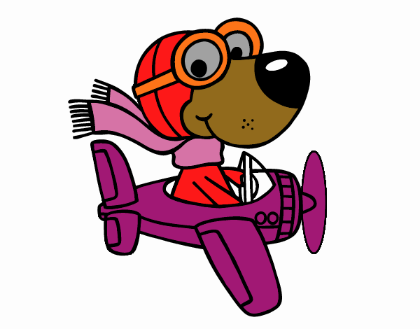 Perro piloto