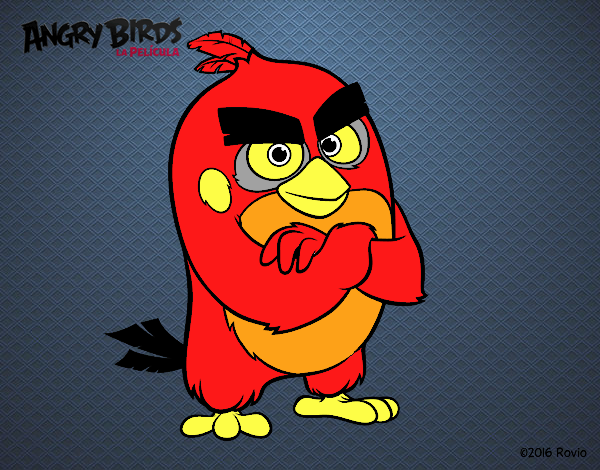 Red de Angry Birds