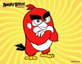 Red de Angry Birds