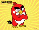 Red de Angry Birds