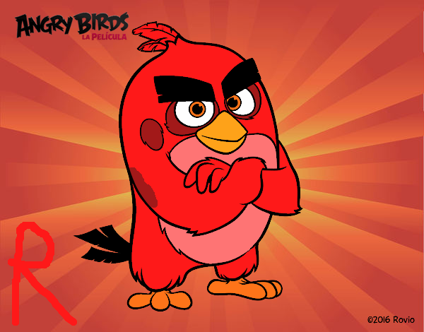 Red de Angry Birds