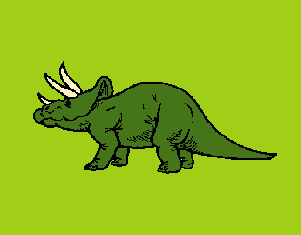 Triceratops