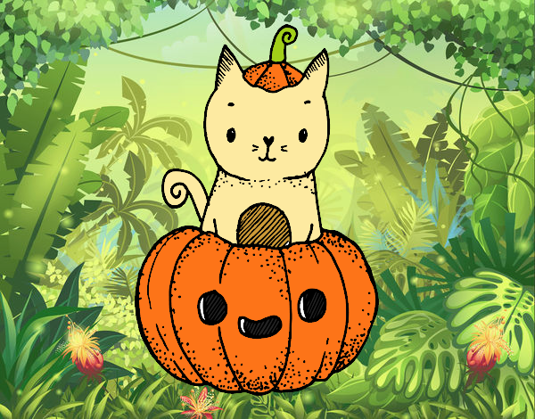 Un gatito de Halloween