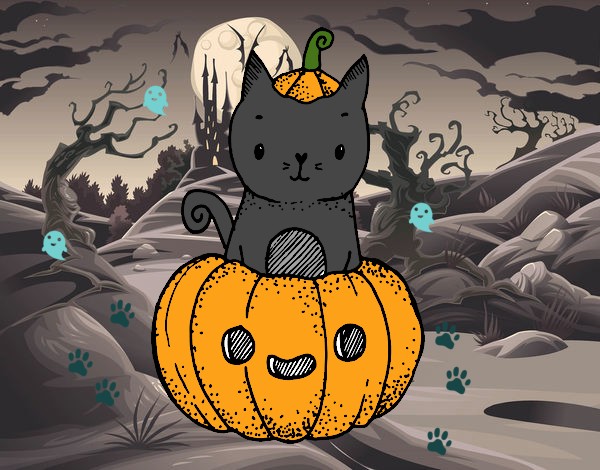 gato de alis hallowen