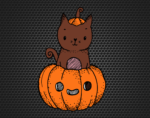 Un gatito de Halloween