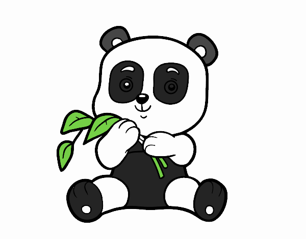 Un oso panda