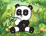 Un oso panda