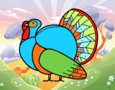 Un pavo