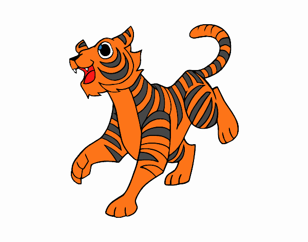 Un tigre de bengala