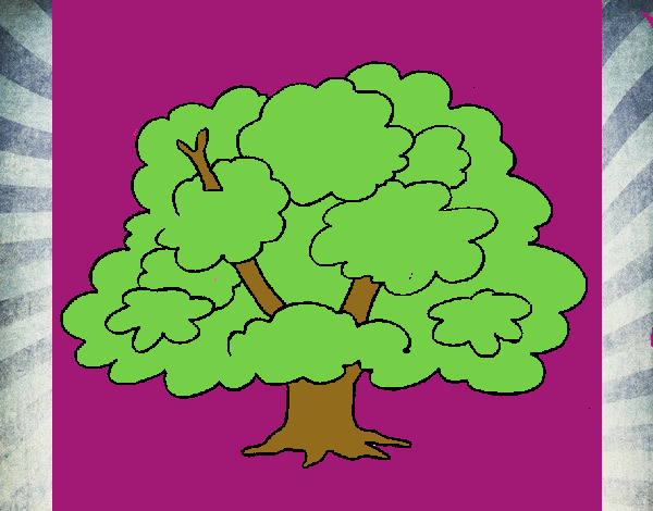 Árbol