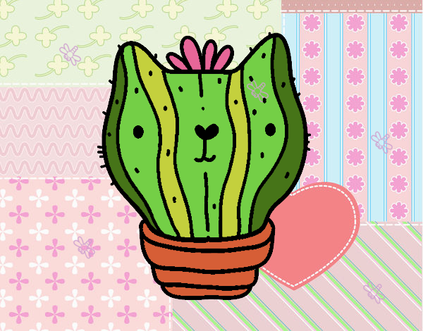 Cactus gato