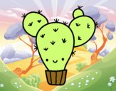 Cactus nopal