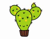 Cactus nopal