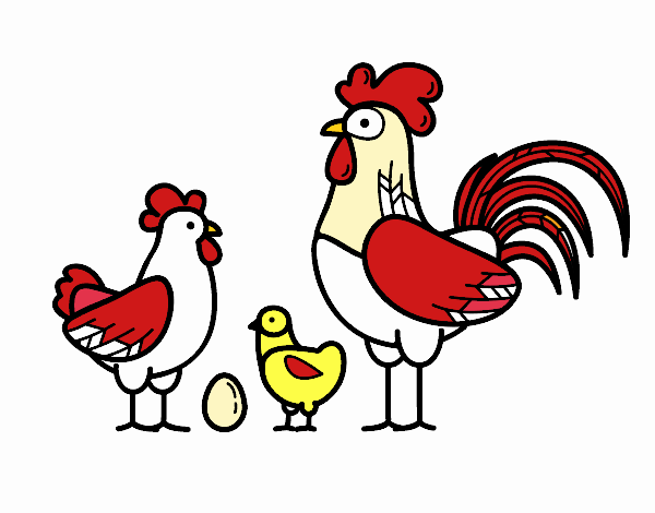 Familia gallina