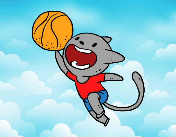 Gato jugando a baloncesto