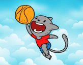 Gato jugando a baloncesto