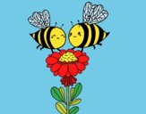 Pareja de abejas