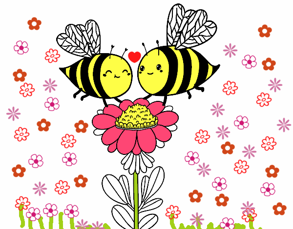 Pareja de abejas