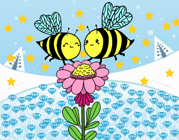 Pareja de abejas