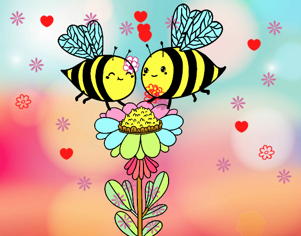 Pareja de abejas