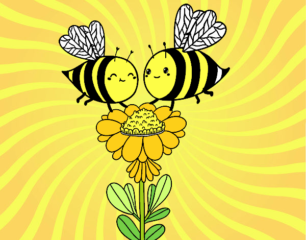 Pareja de abejas