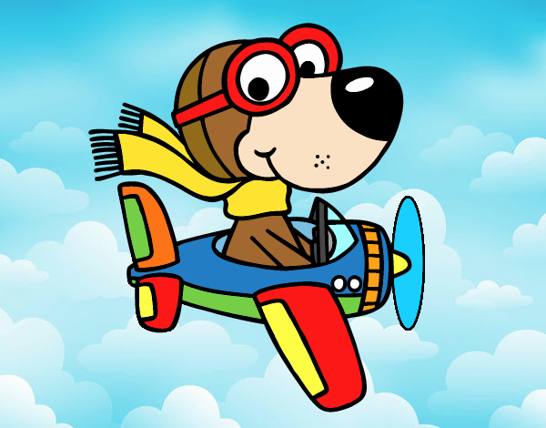 Perro piloto