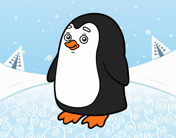 Pinguino