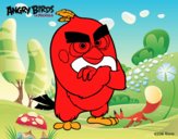 Red de Angry Birds