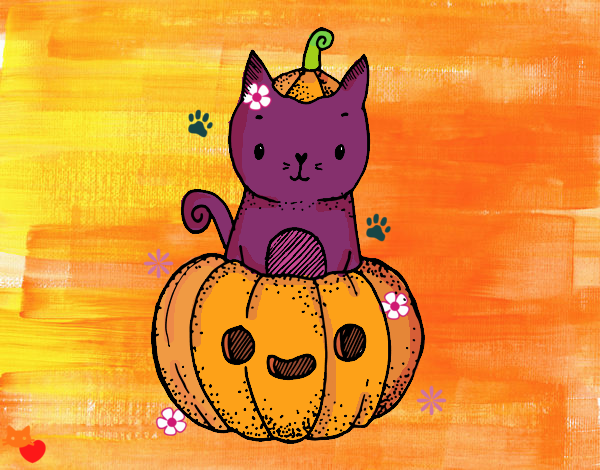 Gatito con calabaza de Halloween :3