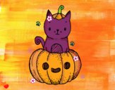 Un gatito de Halloween