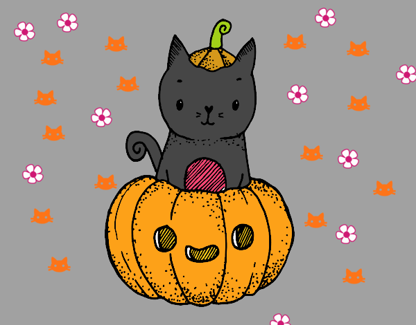 Un gatito de Halloween