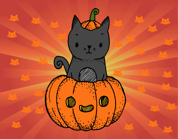 Un gatito de Halloween