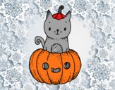 Un gatito de Halloween