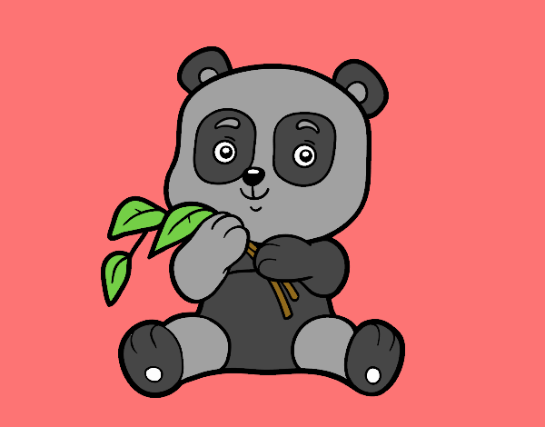 Un oso panda