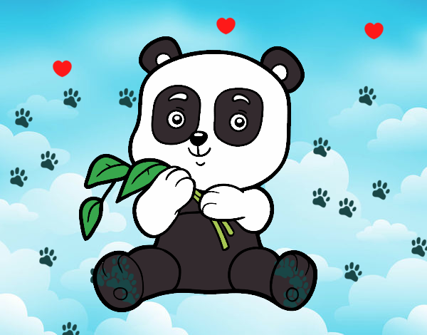 Un oso panda