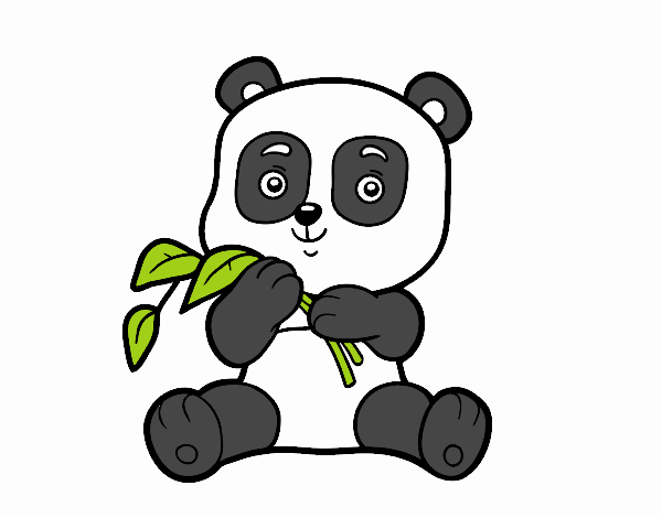 osito panda