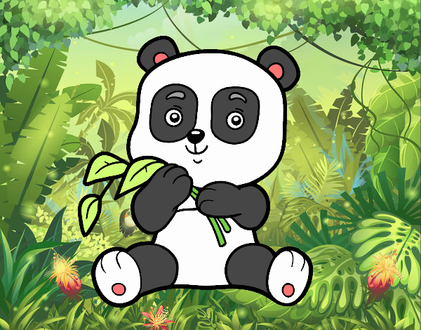 Un oso panda