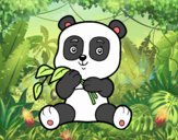 Un oso panda