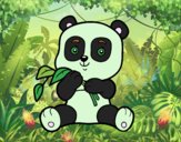 Un oso panda